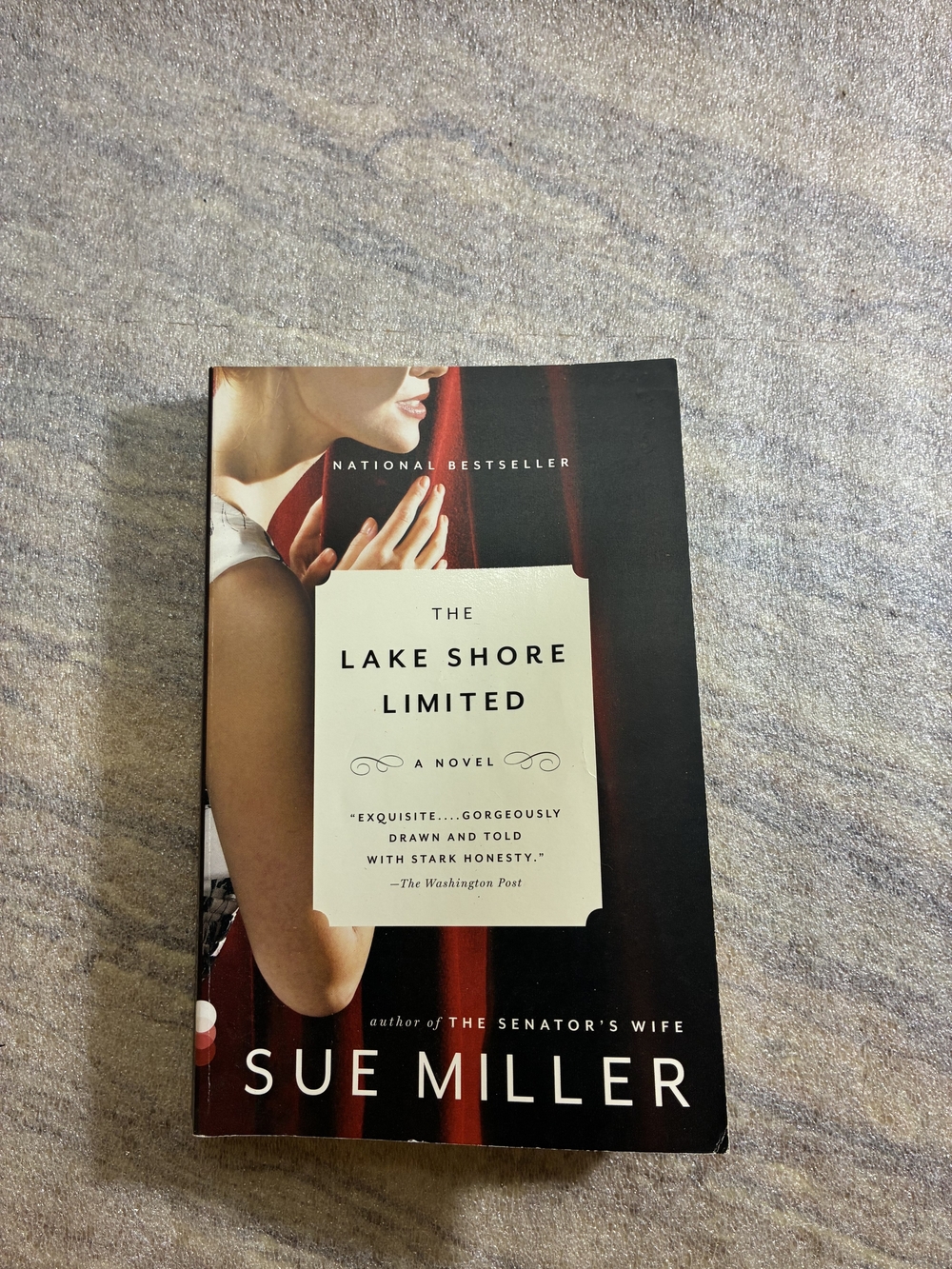 The Lake Shore Limited - Paperback Novel